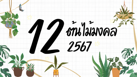 12 ต้นไม้มงคล 2567