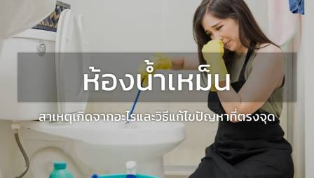 ห้องน้ำเหม็น: สาเหตุเกิดจากอะไรและวิธีแก้ไขปัญหาที่ตรงจุด